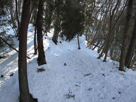 20180126hike (26)